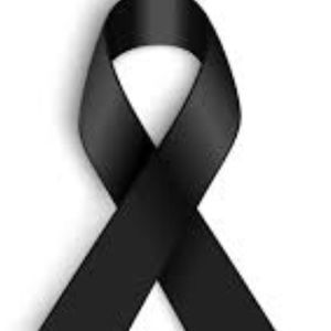 Meet your Posher, Olga